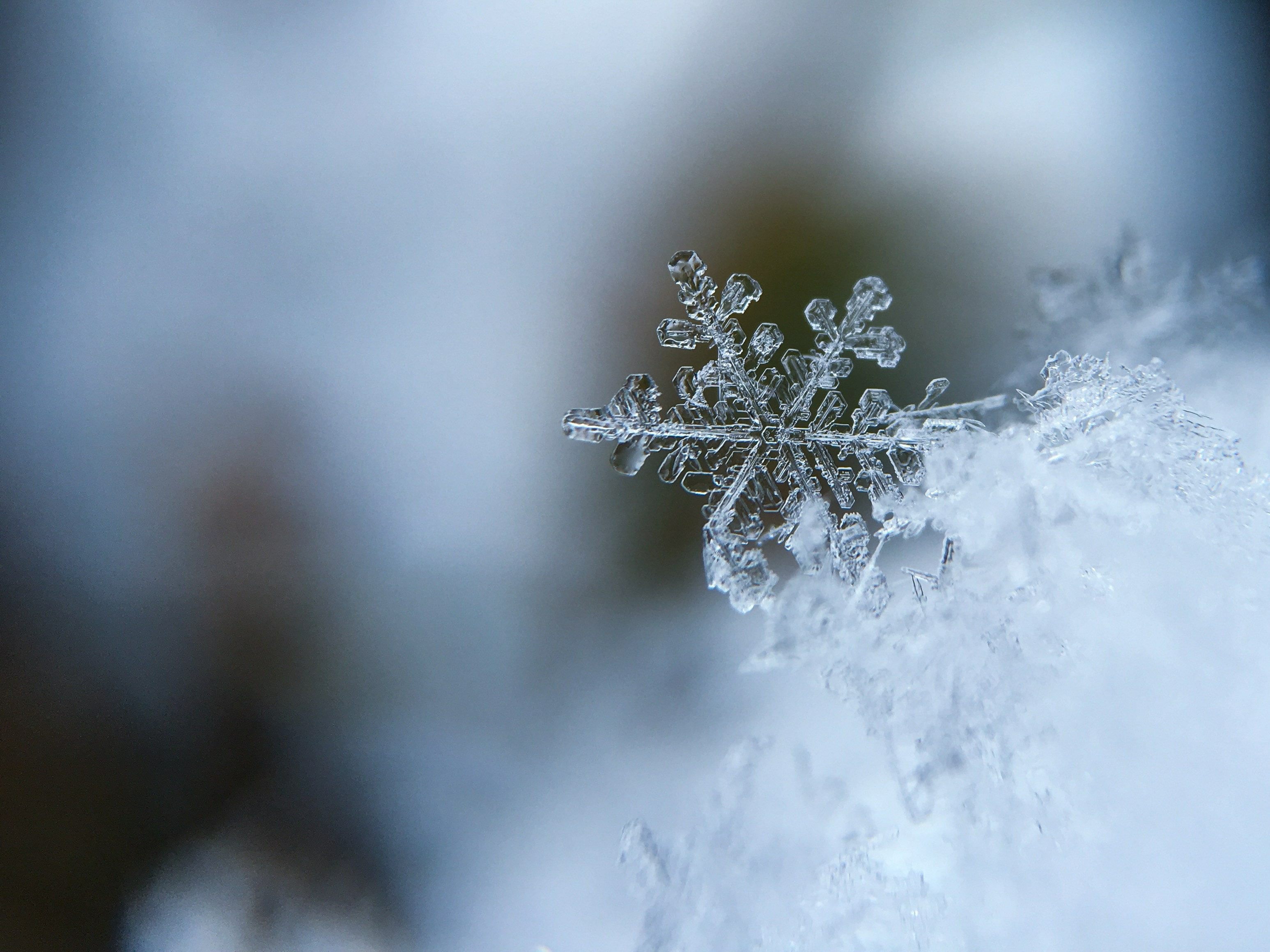 A closeup shot of a snowflake that shows the intricate detail and magnificent beauty.