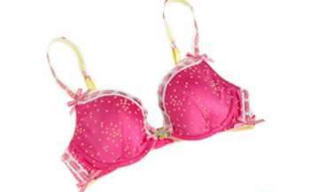 01-08-2009 pink bra