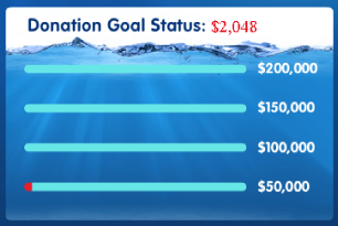 Let's All Join Fins donations chart