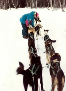 Lisa Wehr prepping her sleigh dogs for a race
