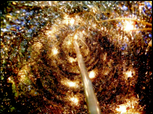 Tinsel