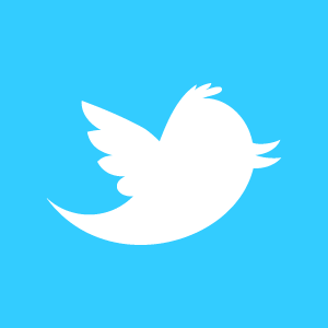Twitter Logo Oneupweb 