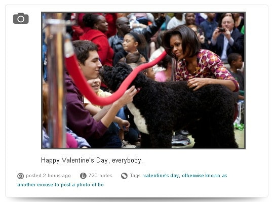Michelle Obama - Bo Michelle Obama