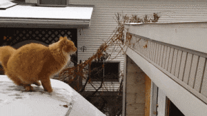 Everythings doesn't always go to plan