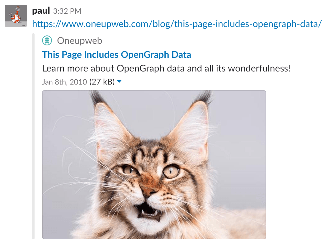 screenshot of url with url preview, showing featured image of fluffy tabby cat