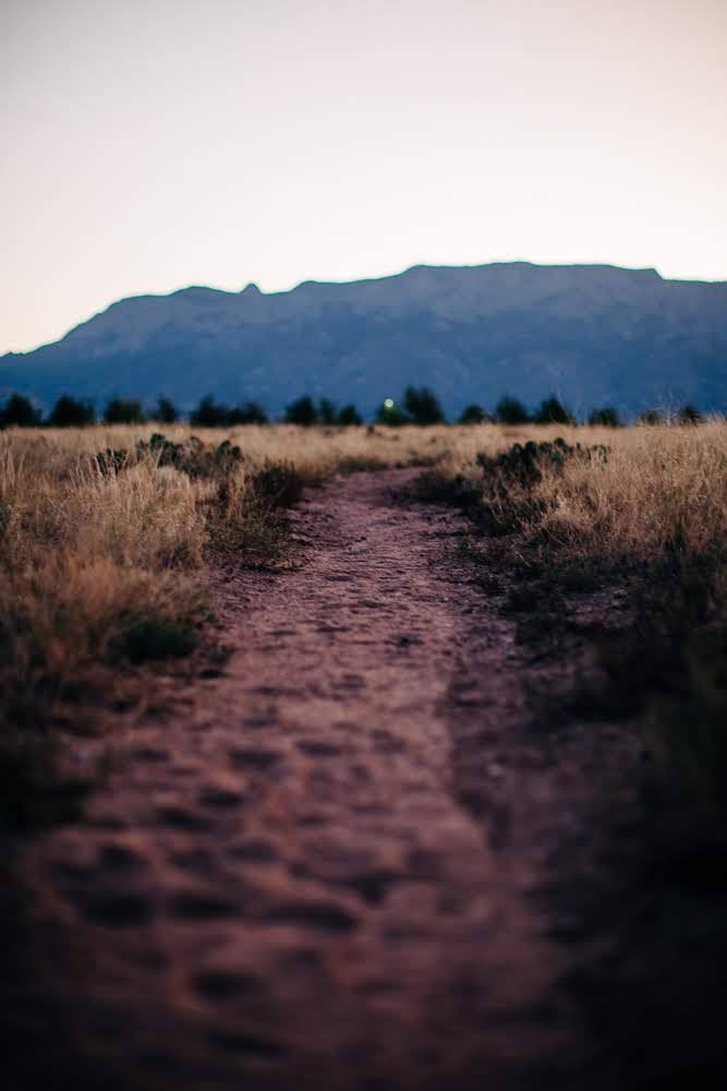 natural trail through field leading to hills in the distance