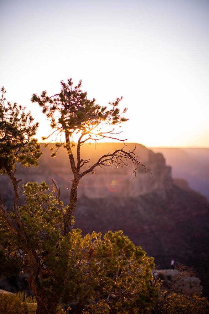 sunset over a clifftop