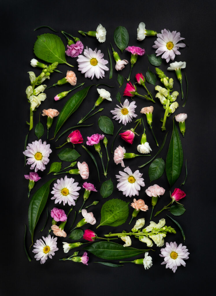 a flat lay photography of flowers on black backdrop