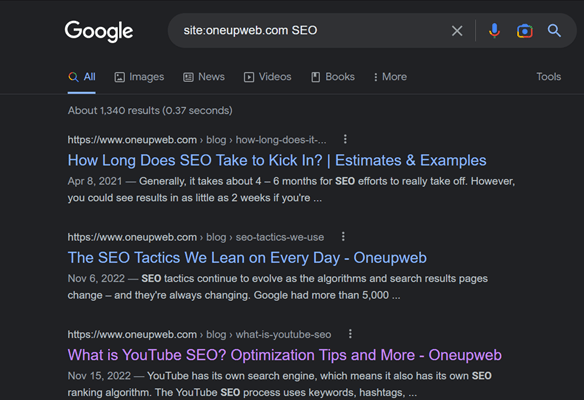 Screenshot of a site search on SEO topics at Oneupweb.com. 